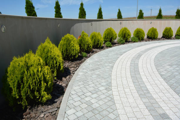 Best Custom Driveway Pavers  in Anthony, KS